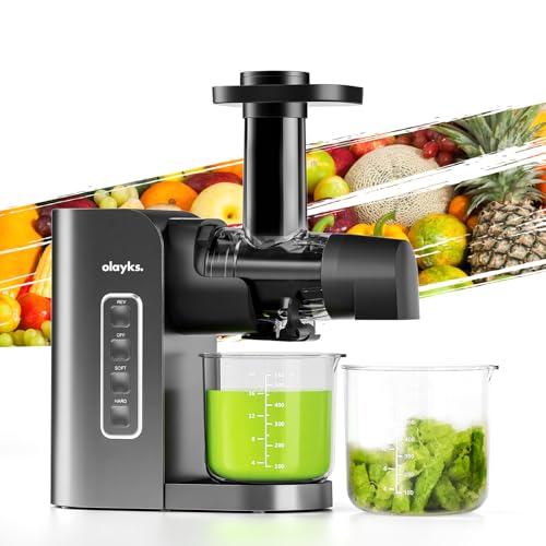 olayks. Cold Press Slow Masticating Juicer