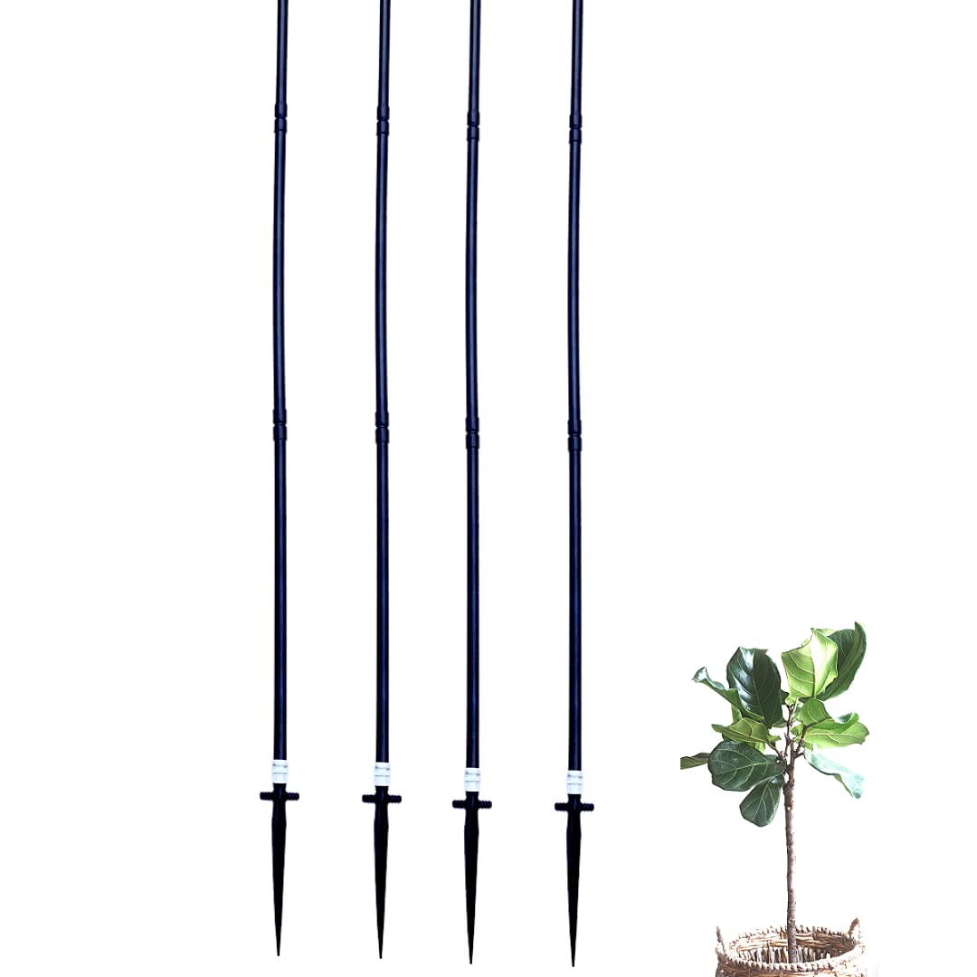See full amazon price history chart for Plant Support Sticks for Creepers & Plant Support Pole 7 Feet (Pack of 2) Garden Tool by Invelligen Plant Support Sticks for Creepers & Plant Support Pole 7 Feet (Pack of 2) Garden Tool by Invelligen (B09BL6ZJ9M) Amazon Price History, Amazon Price Tracker
