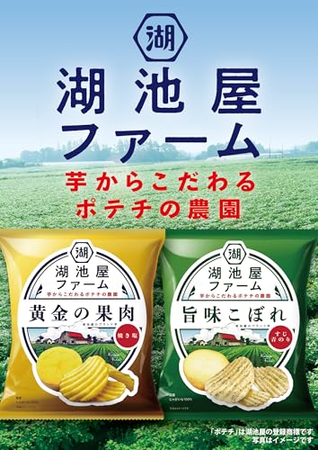 湖池屋 黄金の果肉 焼き塩 55g×12袋