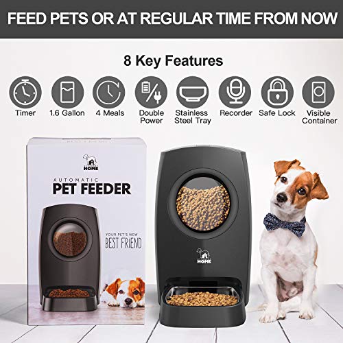 HICTOP Automatic Pet Feeder | Auto Cat Dog Timed Programmable Food Dispenser Feeder for Medium Small Pet Puppy Kitten - Portion Control Up to 4 Meals/Day M30 6L(Black)