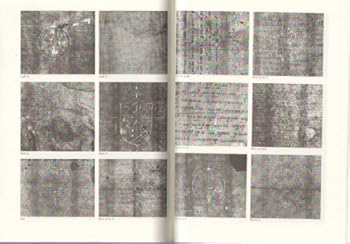 Paperback A dictionary of Michelangelo's watermarks Book