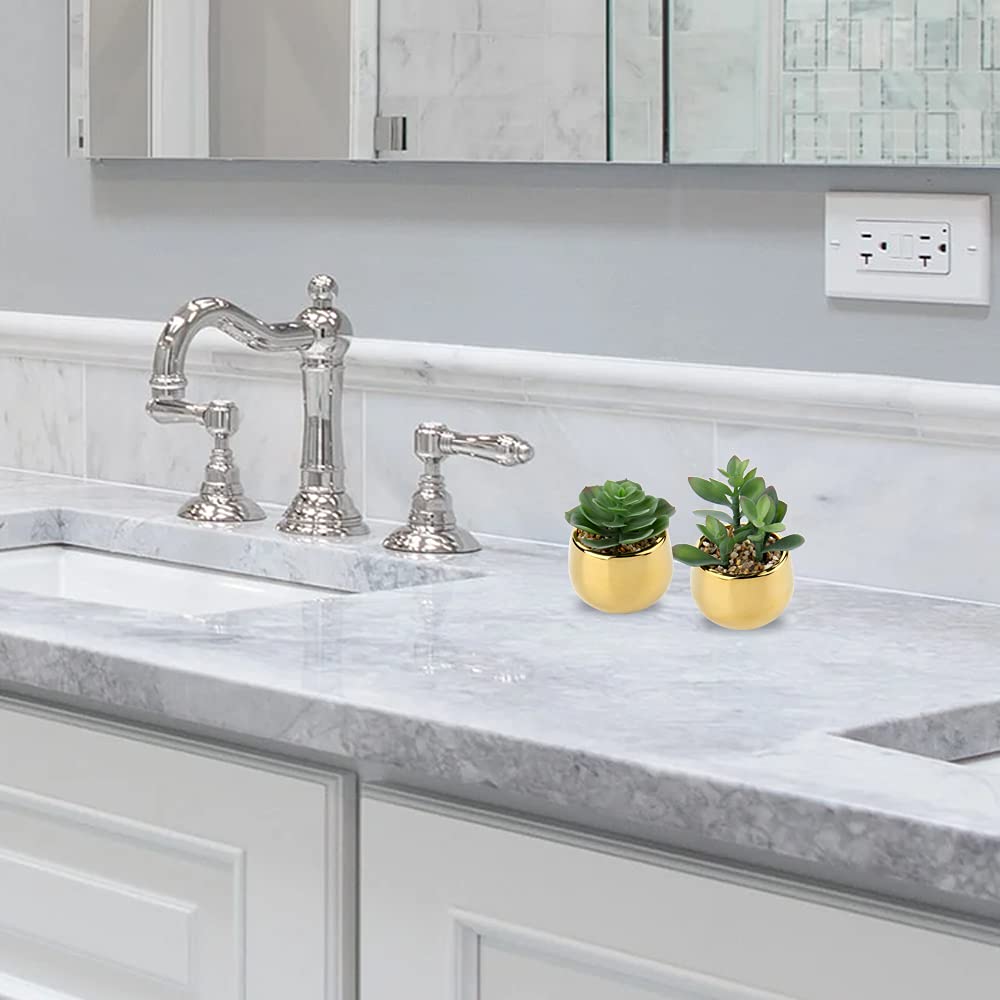 Pequeñas suculentas artificiales en macetas, juego de 2 plantas suculentas realistas con macetas de cerámica doradas, lindas mini plantas falsas decoración para la mesa moderna del hogar, 5