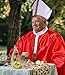 Catholic Bishop Costume, pope costume,Red and White Papal Robe with Mitre Hat, Adult Religious Ceremonial Outfit