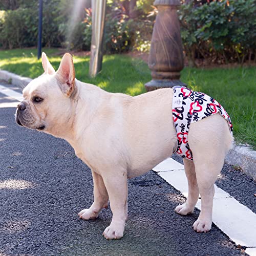 Image of CuteBone Washable Dog Diapers Female No Tail Hole 3 Pack Reusable Doggie Period Training Pants for Docked-Tail Frenchie French Bulldog Boston Terrier Without Tail WWD03M