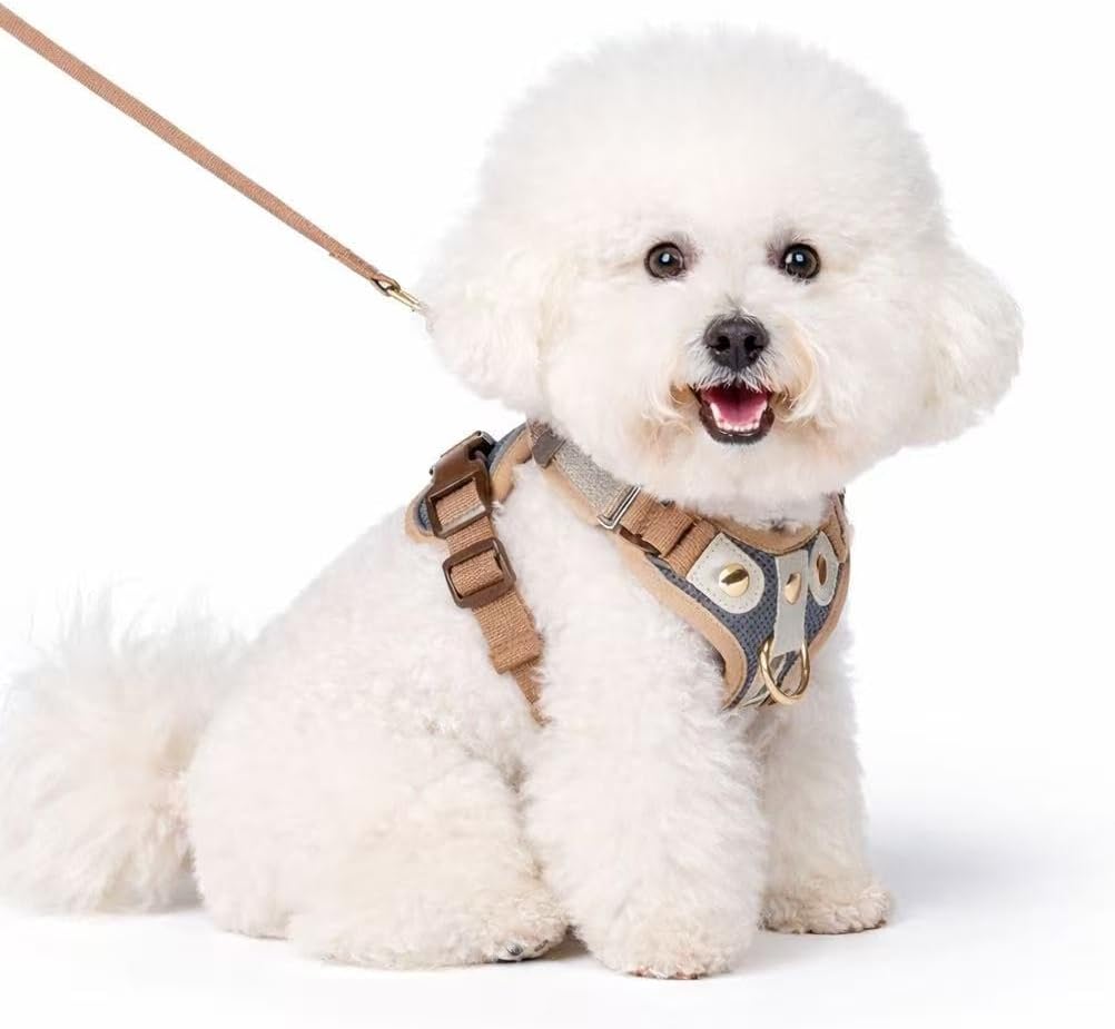 No Pull Dog Harness with Front Clip, No-Choke Padded Chest Vest with Leash Breathable Adjustable Reflective Harness for Small Medium Dogs (Grey and Neutral, S)