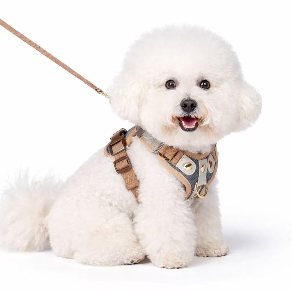 No Pull Dog Harness with Front Clip, No-Choke Padded Chest Vest with Leash Breathable Adjustable Reflective Harness for Small Medium Dogs (Grey and Neutral, S)