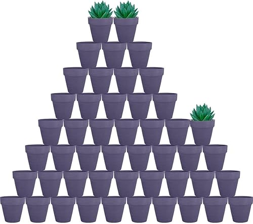 vensovo 48 macetas pequeñas de terracota morada, pequeñas macetas de arcilla de 2 pulgadas con agujeros de drenaje, macetas de terracota para