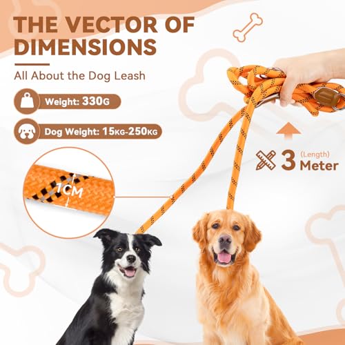 PETCOOZ Hundeleine 3 M Verstellbare Schleppleine für Mittel- & Großhunde(15-60kg), Reflektierende Freihandleine mit 2 Karabiner, Doppelleine aus Robustem Nylon, 200 kg Extreme Kraft