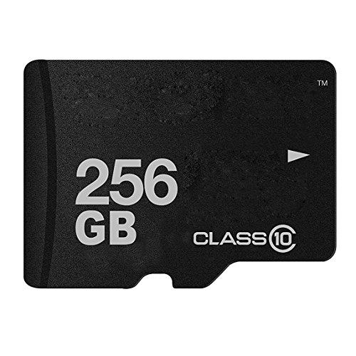 Generic 16GB 32GB 64GB 128GB 256GB Memory SD TF Card Class 10 Flash Memory Card With SD Adapter for Mobile Phones,Tablet PC,Cameras (256GB)