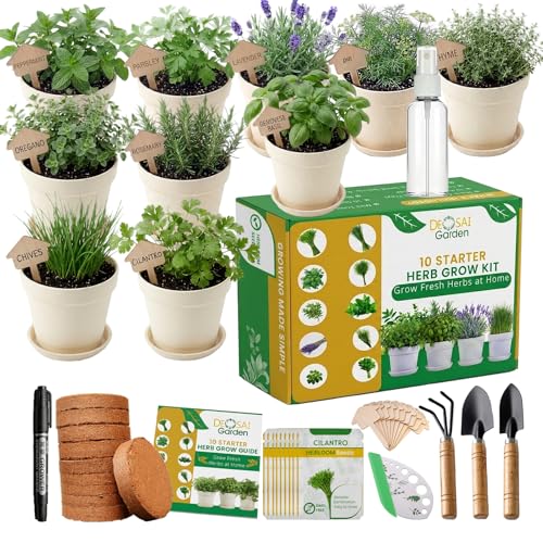 47 PCS Herb Garden Seeds Starter Kit, 10 Non-GMO Culinary Herb Seeds with Beige Pots & Planters for Windowsill, Herb Growing Kit Indoor & Outdoor, Unique Herb Garden Gift Set for Gardening Lovers