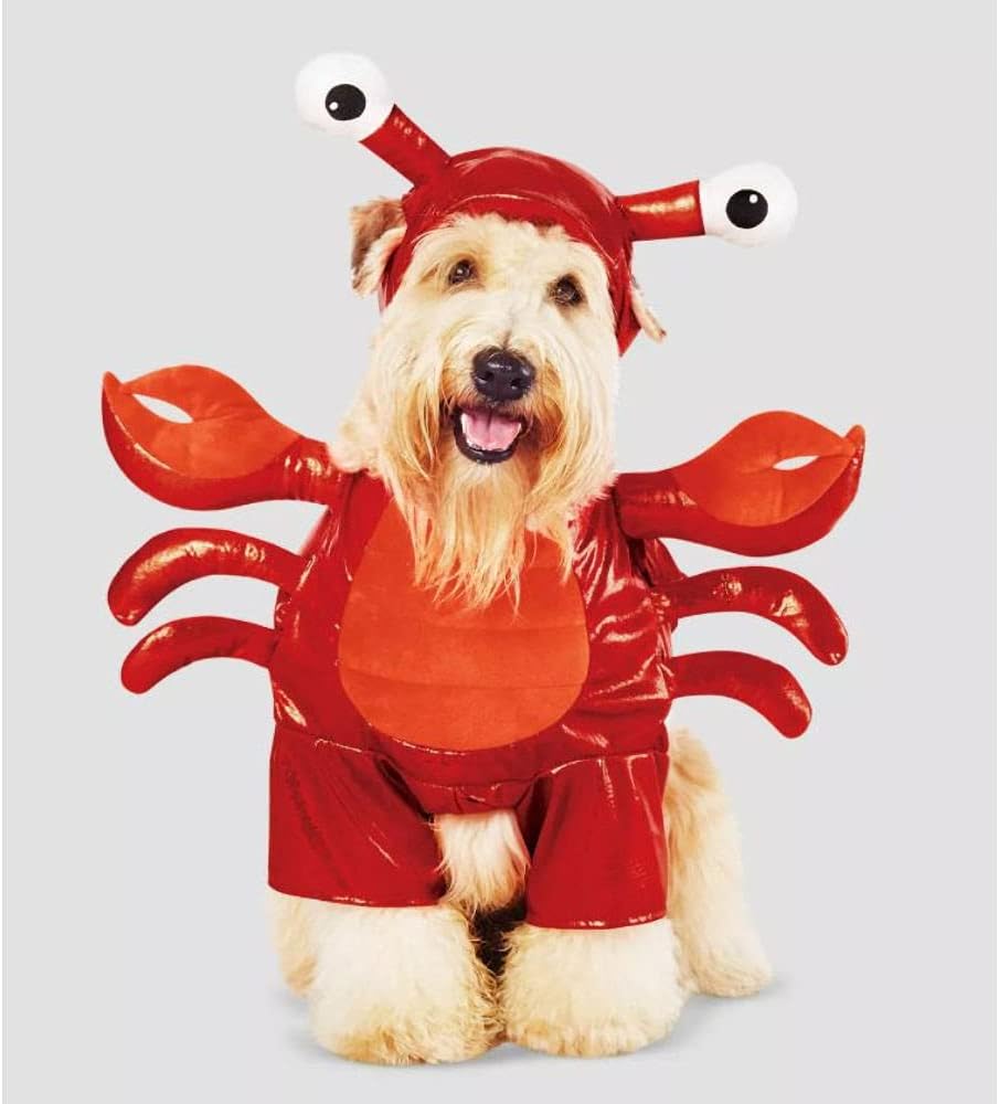 Casual Canine Lobster Paws Dog Costume, XXLarge (fits
