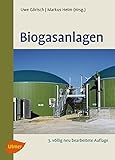 Biogasanlagen: Planung, Errichtung und Betrieb von landwirtschaftlichen und industriellen Biogasanlagen