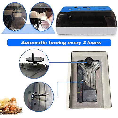 Foto von LIVHOOU Brutmaschine Vollautomatisch Brutkasten Inkubator Hühner 12 Eier mit LED Beleuchtung Automatische Turner Digital Eier Hatcher für Geflügeleier HüHner Ente Gans Wachteln
