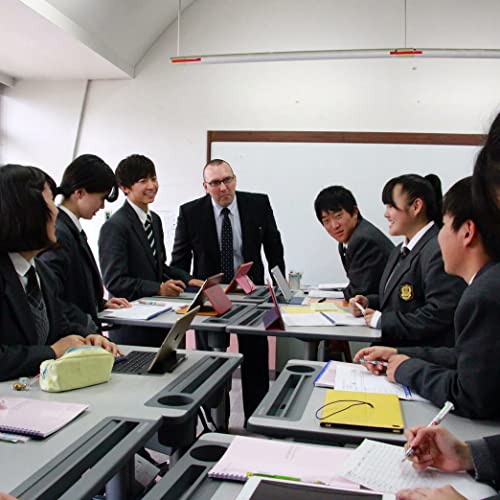 Ergotron – LearnFit Mobile Standing Desk, Adjustable Height Small Rolling Laptop Computer Sit Stand Desk with Wheels for Classroom, Office, Medical or Home Use – Adjusts from 33 to 49 Inches – Grey