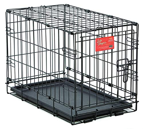 Cage pliante pour chien MidWest évite les dégâts des chiots joueurs