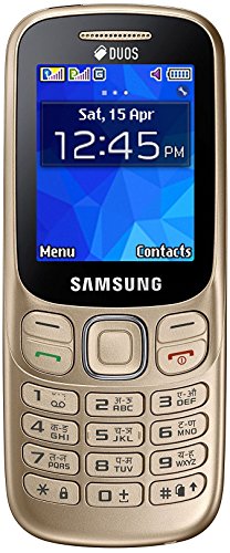 Image of Samsung Metro 313 (SM-B313E, Gold)