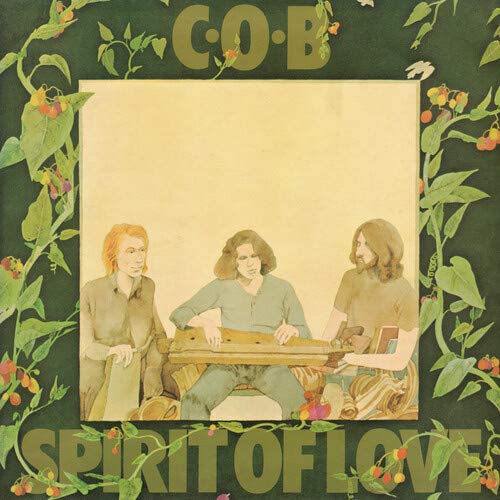 Album Art for Spirit of Love by C.O.B.