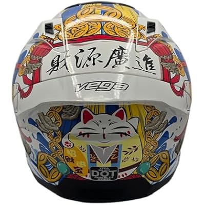 VEGA AIR GPX full face helmet (Large, Fortune)