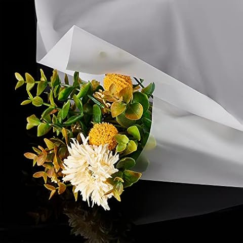 NBEADS 39"×53.9" Translucent Fabric, 0.1mm Thick Clear TPU Fabric Waterproof Clothing Frosted Waterproof Material Cover
