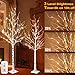 EAMBRITE 5FT 6FT White Birch Tree Set Christmas Tree Decorations, Lighted Artificial Twig Trees Outdoor Indoor, Prelit Tree with Timer & Light Dimmer for Home Porch Xmas Decor (2 Pack, Warm White)