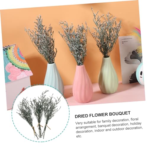 Ramo de flores secas Gypsophila para decoración miniatura 6