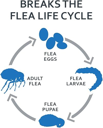 Miniatura 4 de Gotas tópicas para pulgas y garrapatas, para gatos, Sentry Fiproguard, Púrpura