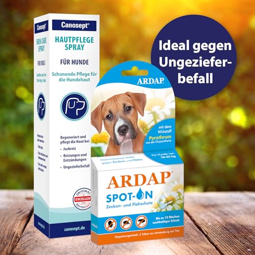Canosept Hautpflegespray für Hunde 250ml - Milben Hund - Grasmilben bekämpfen Hund - Juckreiz Hund - Milbenspray Hunde - Grasmilben Hund - Regeneriert die Haut bei Reizungen & Rötungen