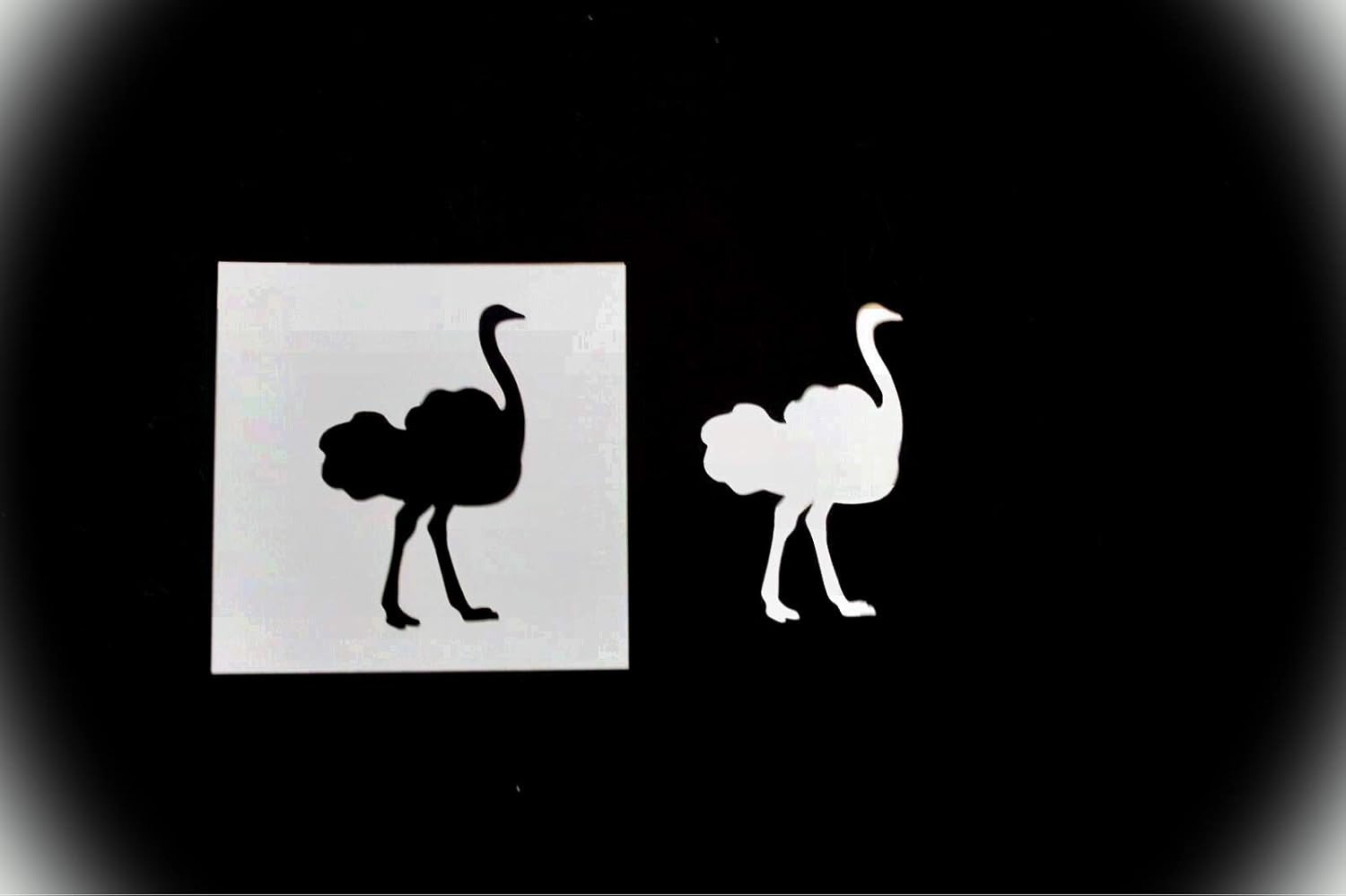 8" Reusable Sturdy Stencil Ostrich Stencil Template Mylar Cutout Plastic Sign Sheet DIY Supplies for Airbrush Painting Drawing CiE8in-940