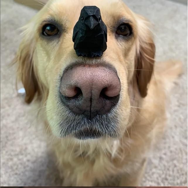 Miniatura 4 de Figura de cuervo tallada a mano, estatua de cuervo de pájaro negro rave, escultura, escultura, arte en miniatura, decoración de tallado en madera,