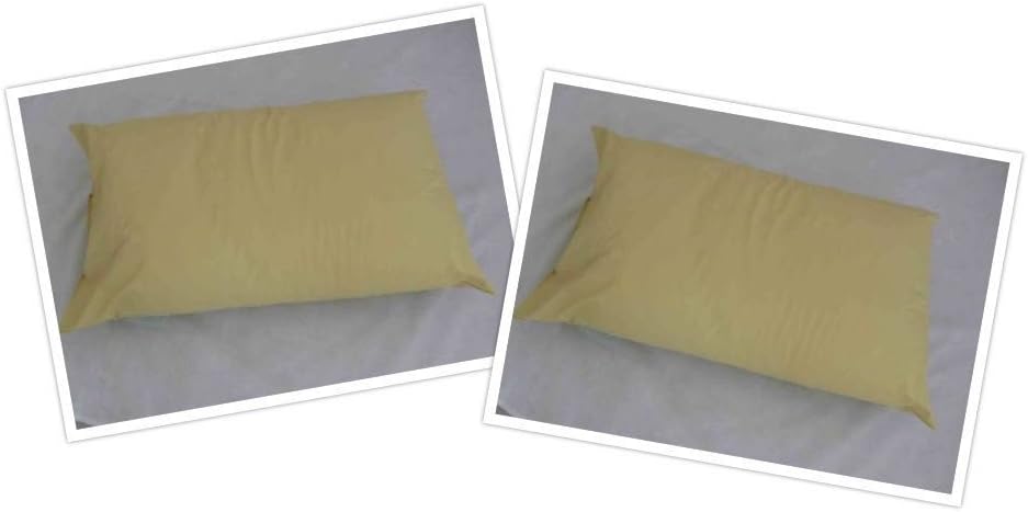 Waterproof Wipe Down Hospital Grade Medical Pillow Nursing Homes Pack of 2 Pillow Only