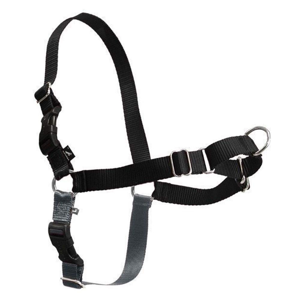 Gentle Leader Harness Medium / Black