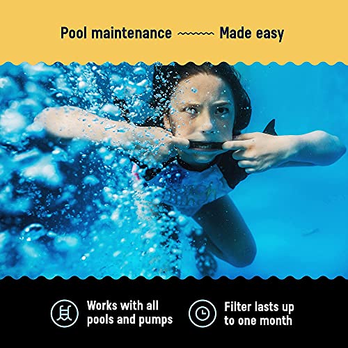 Sunset Filters Type D Pool Filter Cartridge For Above Ground Pools, Size D Replacement, For Summer Waves Pool Filter Type D, Intex, Rx600, Easy To Install, Made Of Dacron Fibre, Re-Usable (2 Pack) #TOP5