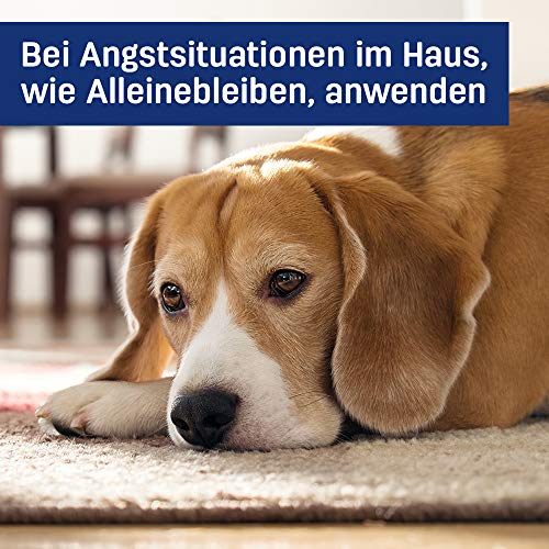 Adaptil Nachfüllflakon 48ml, für blauen Steckdosen-Zerstäuber