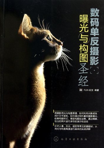 Exposure and Composition of Digital SLR Photography (Chinese Edition)