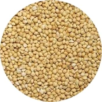 Amazon.com: Shafer Seed 84075 White Proso Millet Wild Bird Food Amazon.com: Shafer Seed 84075 White Proso Millet Wild Bird Food