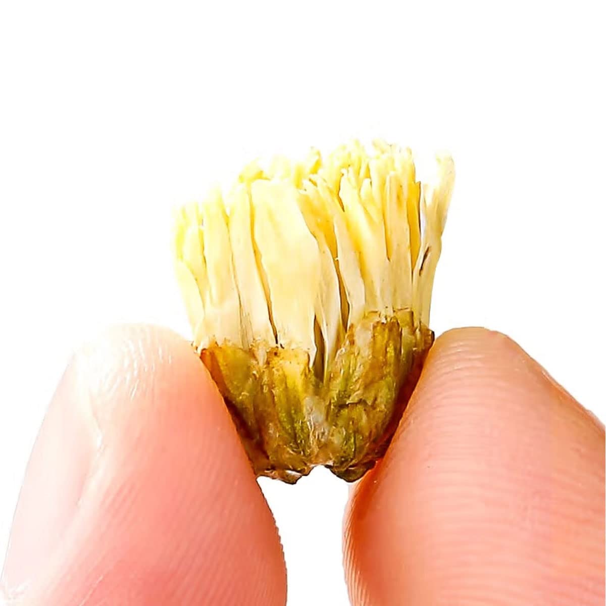 Chrysanthemum Tea Flowers 150g / 5.3oz loose tea chrysanthemum tea Dried Fetal Chrysanthemum Bud - Image 2