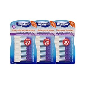 Wisdom Toothbrushes Reinig tussen interdentale borstels, groot, 30-count (pak van 3)