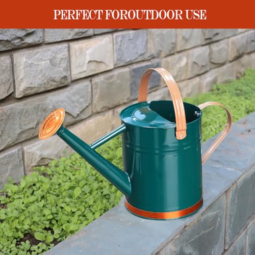 yourjoy Metal Watering Can, One Gallon Watering Cans Stainless Steel for Outdoor Indoor Garden Plants Watering (One Gallon Green Decorative Strip) - Thumbnail 3