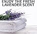 Amazon Basics Laundry Detergent Pacs, Lavender Scent, 120 Count (New Packaging)