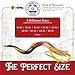 Fully Polished Kosher Shofar Set from Israel, Kudu Shofar Horn, Officially Signed Certificate, Made in Israel (20