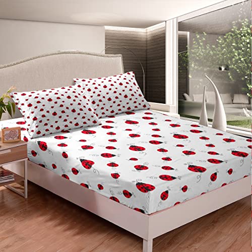 Consejos y reviews para comprar Ropa mariquita perez de esta semana. 17 Imagen adicional