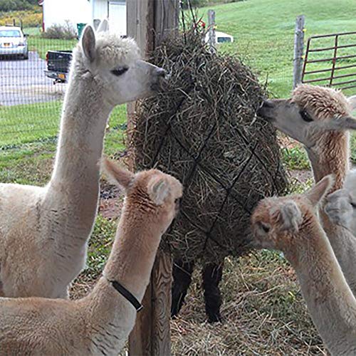 B Bloomoak Hay Net For Horse, Black Hay Bag 40" Length And 4" Larger Holes With Metal Rings For Goat (1 Pcs (40" Length & 4“ Hole) #TOP5