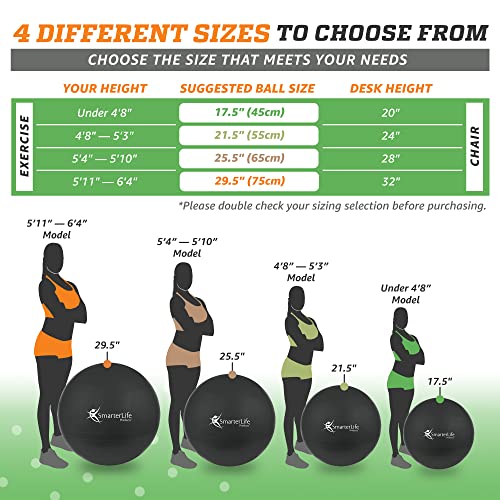 SmarterLife Exercise Ball Yoga Ball for Fitness, Balance, Stability, or Pregnancy, Gym Ball for Core Workout, Physical Therapy, Yoga Ball Chair for Office, Anti-Slip Anti-Burst (65 cm, Black)