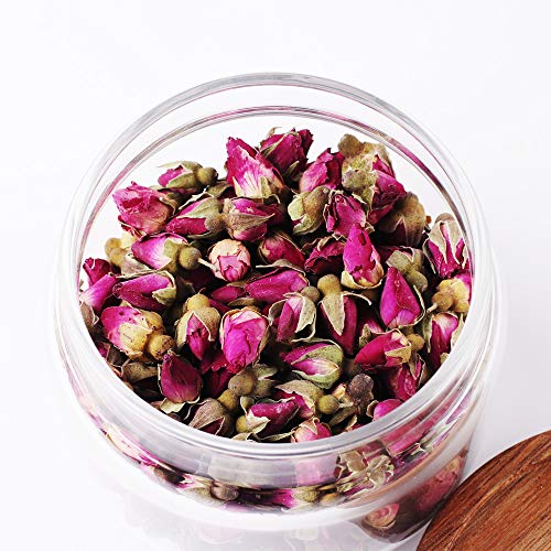 LEAVES AND TREES Glass Coffee Storage Canisters