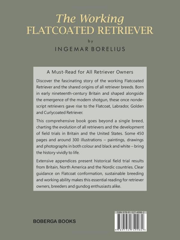 The Working Flatcoated Retriever