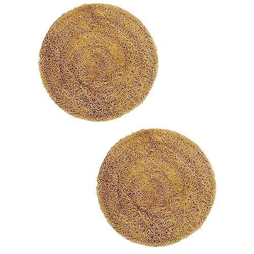 Luxshiny Loofah Coasters Set of 2 Heat-Resistant Tea Pot Pads Non-Slip Round Cup Mats for Office and Home Use 3.1 Inch Diameter