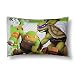 Franco Teenage Mutant Ninja Turtles Green & Gray Reversible Pillowcase (Standard)
