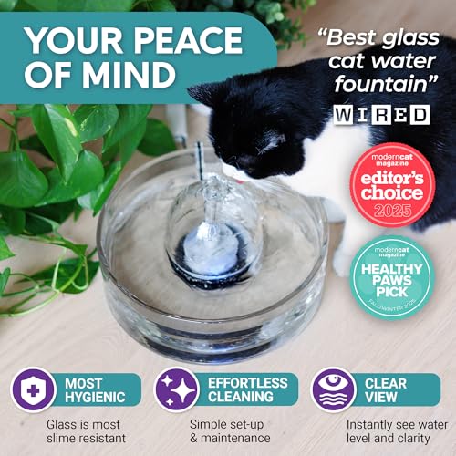 Brook Glass Pet Fountain 90oz — view 3