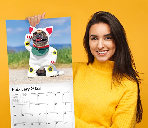 Dog Fun 2023 Hangable Wall Calendar Monthly - 12" X 24" Open - Cute Costume Dressed Up Playing Puppies Photo Gift - Sturdy Thick Puppy Dogs Photography - Gifting Idea For Secret Santa, Teacher, Adults, Friends, Kids & Coworkers - Large Full Page 16 Months For Organizing & Planning - Includes 2022 #TOP3