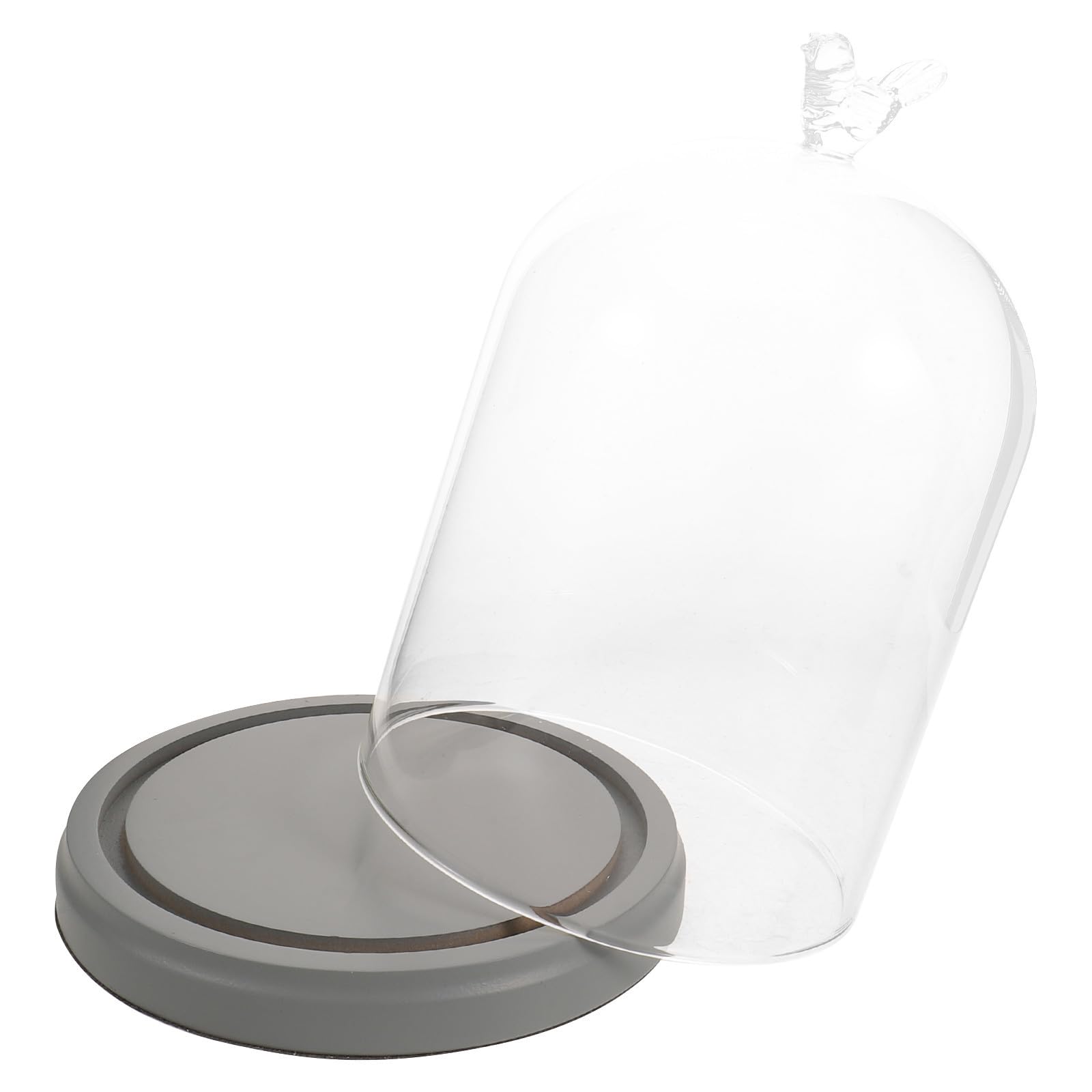 Campana de vidrio antipolvo para proteger coleccionables y flores secas